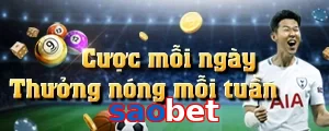 saobet